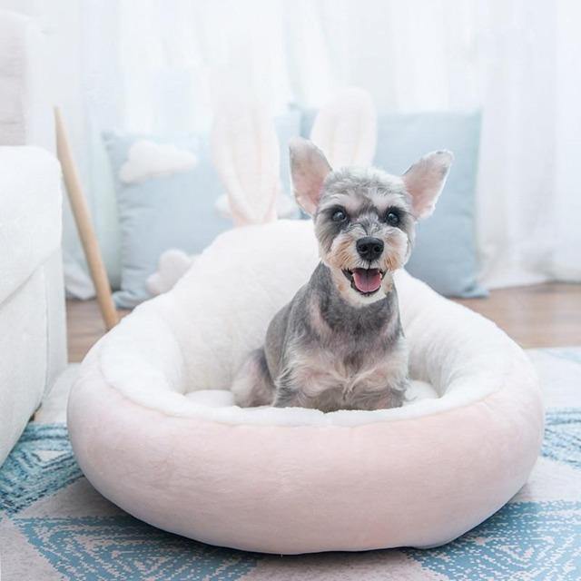 Pet Cat Bed House Cute Rabbit Ears Warm Bed - The Pet Talk