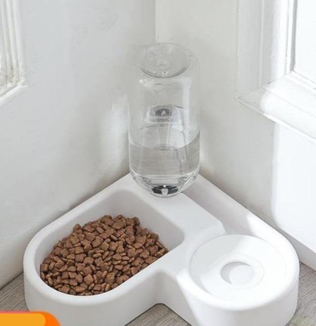 Pet Food & Water Feeder Bowl Automatic - The Pet Talk