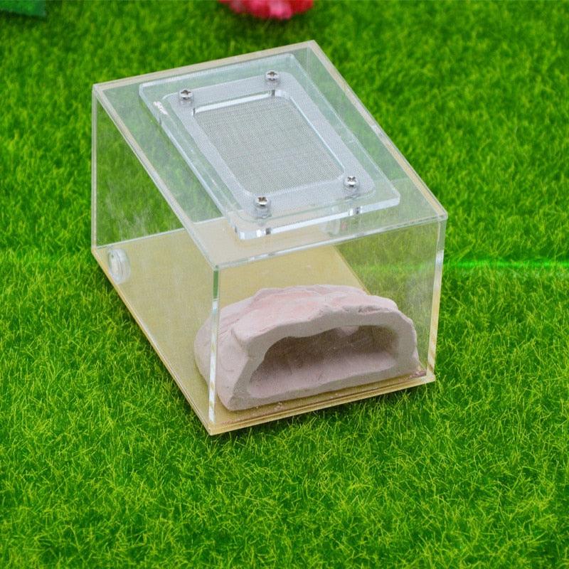 Mix-Matched Plaster Rockery Nest Imitation Ecological Ant Villa Castle Nests - The Pet Talk