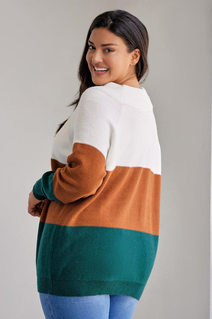 Plus Size Color Block Over Waist Length Sleeve Sweater - The Pet Talk
