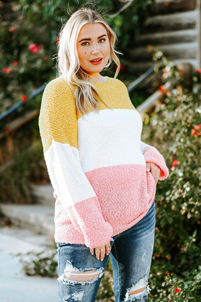 Plus Size Color Block Round Neck Sweater - The Pet Talk