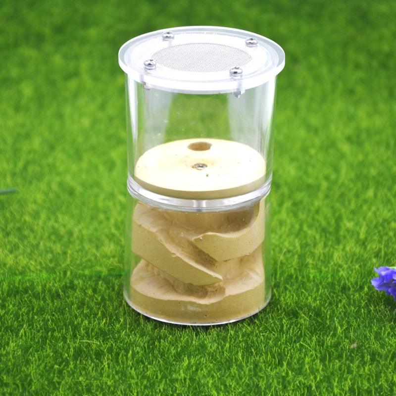 Rotatable Acrylic Ant Farm Cup Gypsum Nest Ant House Workshop - The Pet Talk