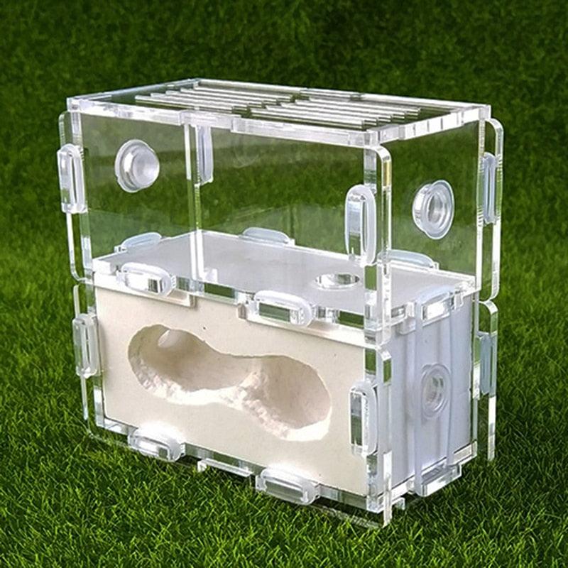 Square Acrylic Ant Color Plaster Nest Transparent Ant Villa Home - The Pet Talk