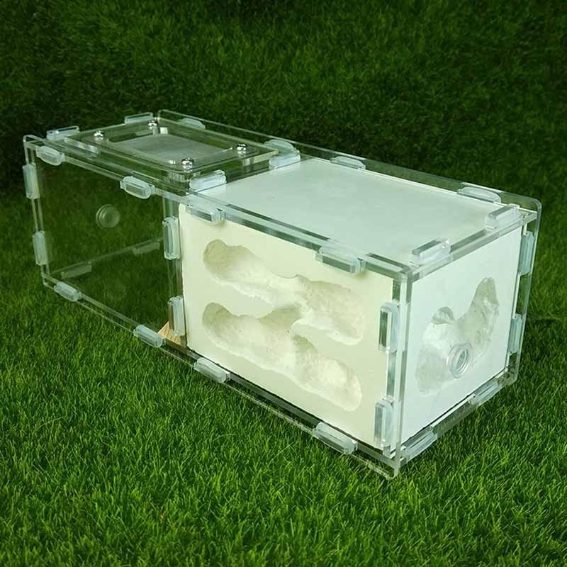 Stitching Acrylic Clear House And Color Plaster Nest Ant Castle - The Pet Talk