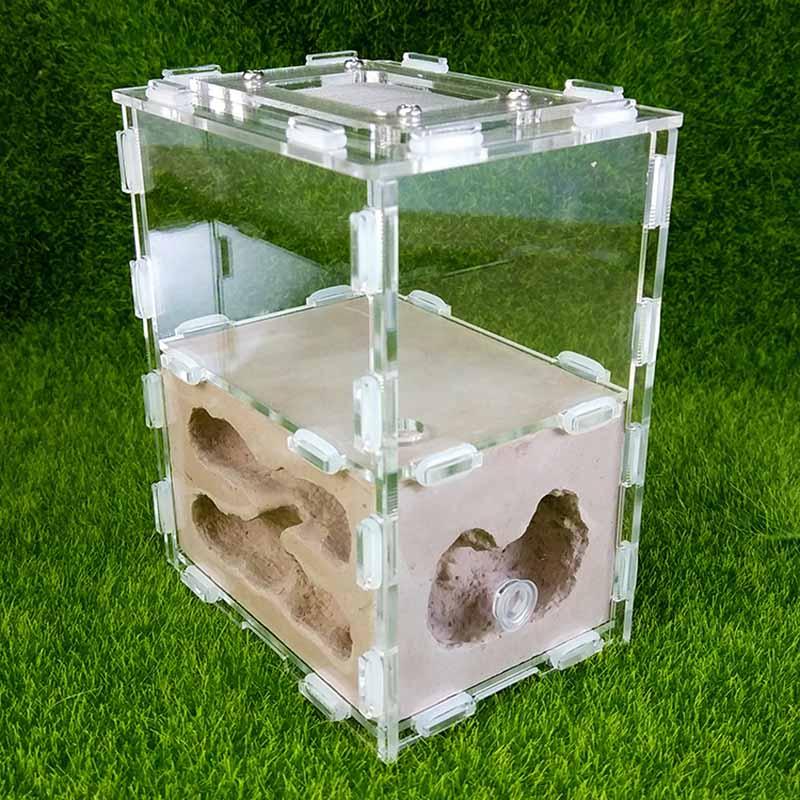 Stitching Acrylic Clear House And Color Plaster Nest Ant Castle - The Pet Talk