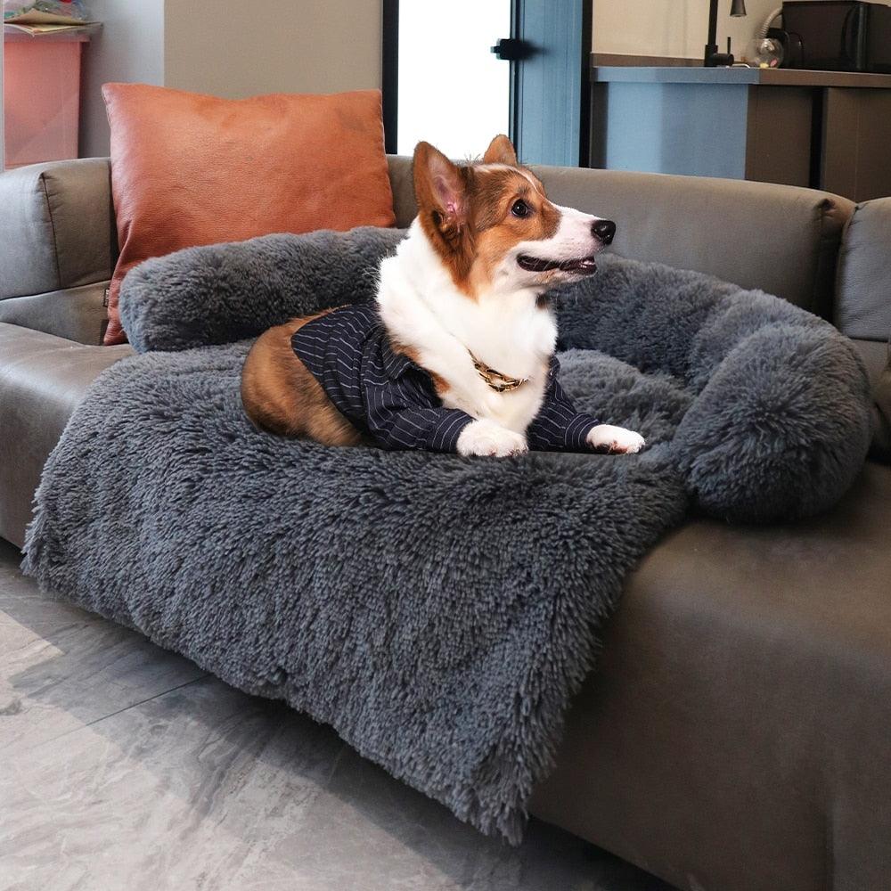 Super Large Calming Dog Bed Mats Match Sofa - The Pet Talk