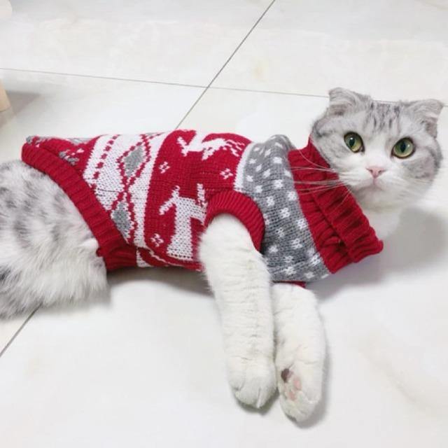 Sweater Winter Warm Cat Suit - The Pet Talk
