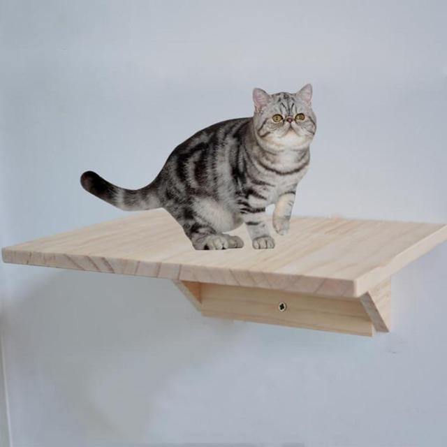 Wall Mounted Cat Jumping Platform DIY - The Pet Talk