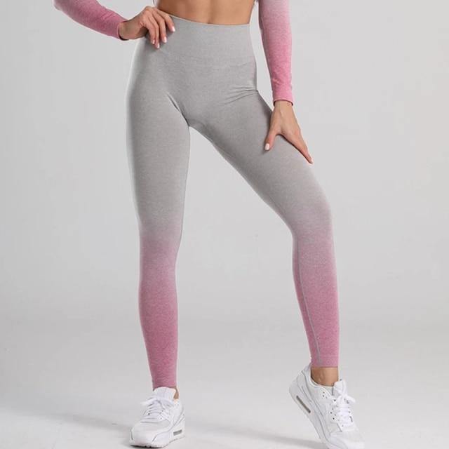 Women Gym Yoga Seamless Pants Sportswear Stretchy High Waist - The Pet Talk