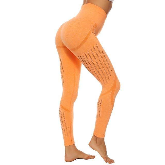 Women Seamless Legging Yoga Pants Tights Workout Running Activewear - The Pet Talk